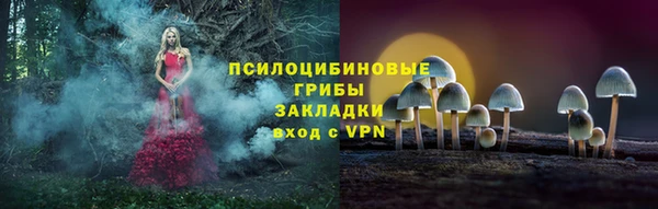 соль ск Верея