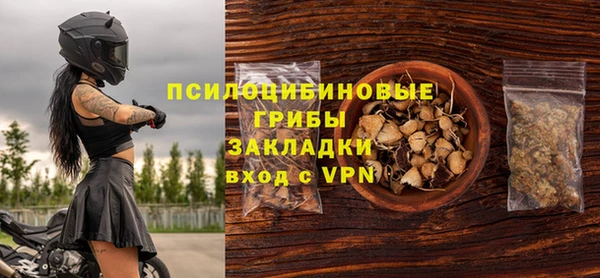 мдпв Верхний Тагил