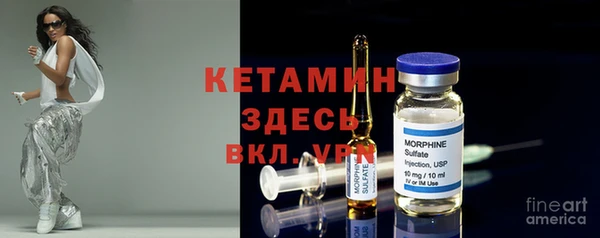 прущие грибы Сатка
