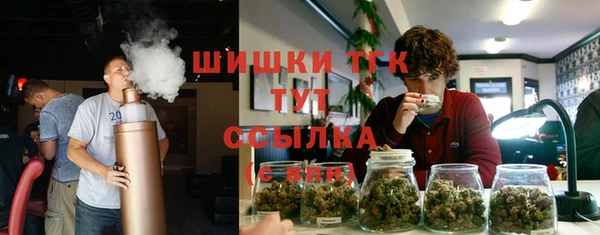 мдпв Верхний Тагил